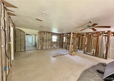 Living room/Kitchen