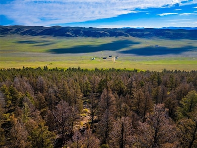 1720 Middle Fork Vista, Fairplay, CO 80440 - photo 3