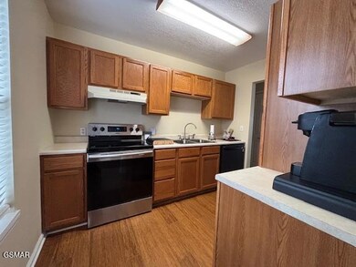 1769 Snapp Rd, Sevierville, TN 37862 - photo 6