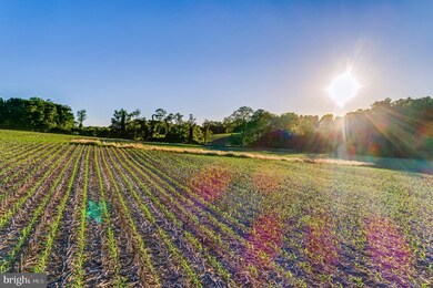 0 Falls Rd, Fowbelsburg, MD 21155 - photo 5