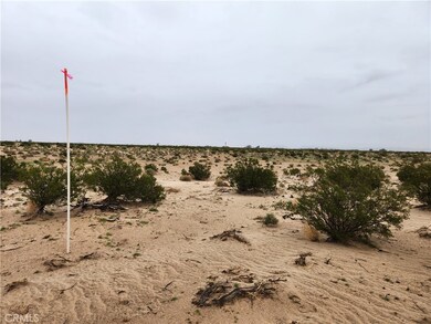 3 AC Fairview Rd, Newberry Springs, CA 92365 - photo 4