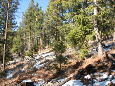 75 Coyote Springs Trail, Kila, MT 59920 - photo 5