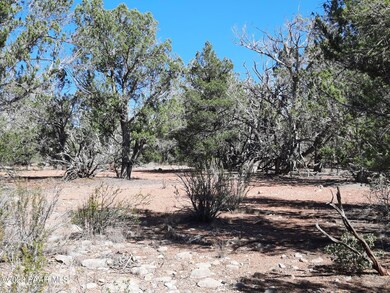 Lot 869 W Mystical Ln, Seligman, AZ 86337 - photo 3