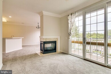 1724 Osage St unit 303, Alexandria, VA 22302 - photo 5