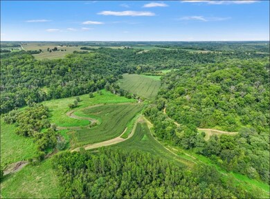 Xxx Dutch Hollow Rd, Potosi, WI 53820 - photo 7