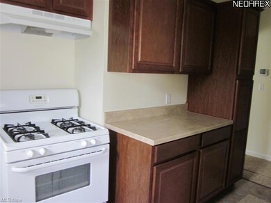 A pantry cabinet completes this wonderful new kitchen