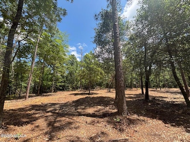 0 Salix Ln, Macon, GA 31216 - photo 6