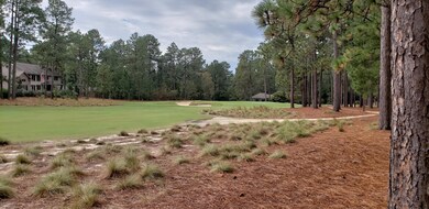 8th Fairway