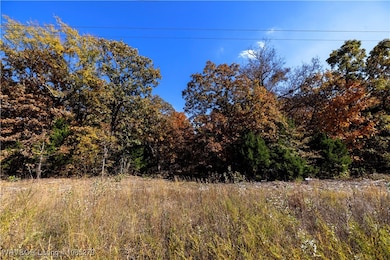 TBD S 4497 Rd, Vian, OK 74962 - photo 3