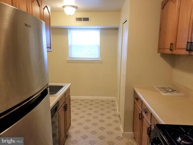5937 Quantrell Ave unit 104, Alexandria, VA 22312 - photo 5