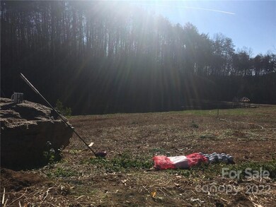 435 Misery Ridge Trail, Mill Spring, NC 28756 - photo 7