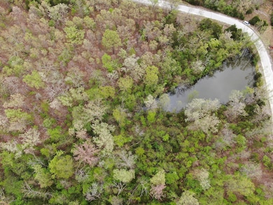 DJI_0767