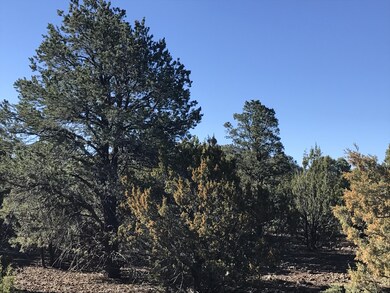 Pinon and Juniper