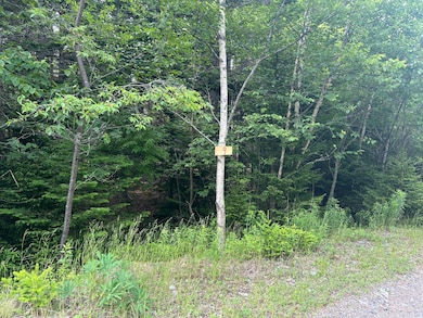 Lot 9