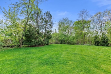 Large grassy yard