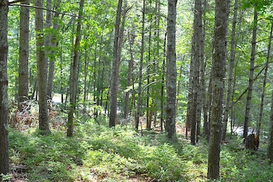 Land View