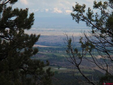 0 Squirrel Rock Rd unit 754418, Cedaredge, CO 81413 - photo 6