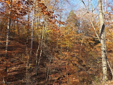 0 Glendale Rd, Highland, WV 26346 - photo 3