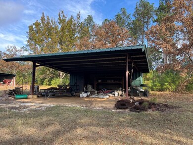 13962 State Highway 95 N, Abbeville, AL 36310 - photo 6