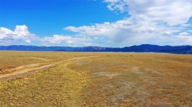 1298 Superstition Trail, Hartsel, CO 80449 - photo 4