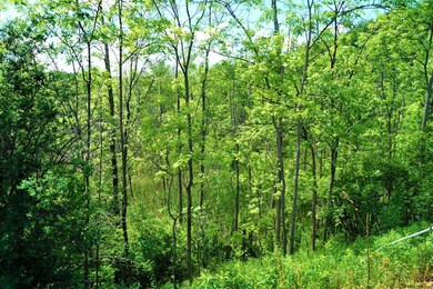 3249-B S Broadway, Saratoga Springs, Outside, NY 12866 - photo 5