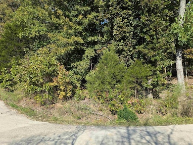 L20,21,22 B6 Lakota Trace, Cherokee Village, AR 72529 - photo 4