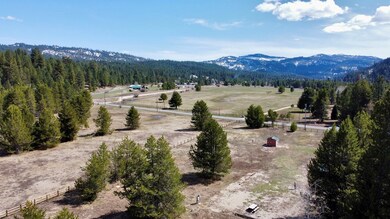 14 Smiths Ferry Dr unit 61, Parcel 2, Cascade, ID 83611 - photo 4