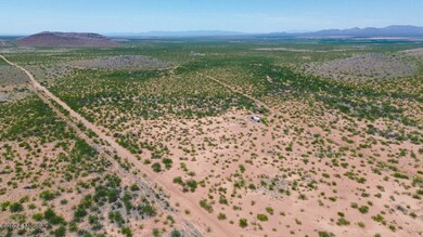 DJI_0169.JPG