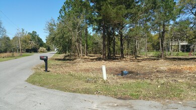 000 Fernwood Dr, Pass Christian, MS 39571 - photo 2