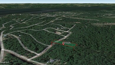 0 Sunnybrook Ln unit Avinger TX 75630, Avinger, TX 75630 - photo 5