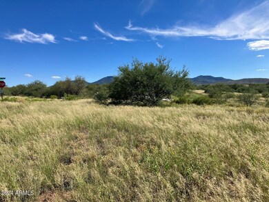 image6 (12)