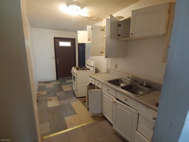 14114 Westropp Ave, Cleveland, OH 44110 - photo 4