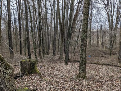 25140 Weber Rd, Howard, OH 43028 - photo 4