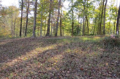 WOODED 5.27 ACRES...