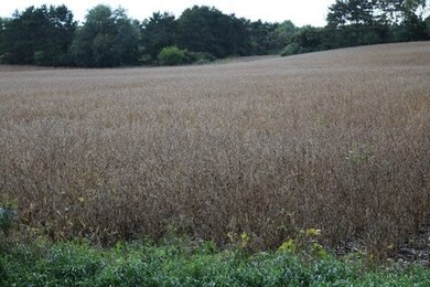 20 AC Whalen Rd, Madison, WI 53711 - photo 6