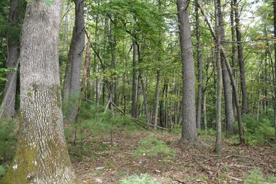 IMG_9146