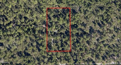 67078858_BrevardCounty