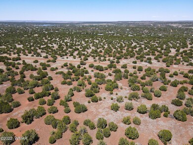 8519 Powell Ln, Show Low, AZ 85901 - photo 2