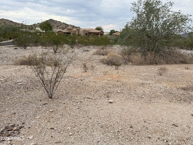 11222 S Wilson Ln unit 38, Goodyear, AZ 85338 - photo 2