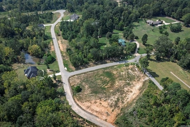 145 Shepherd Loop Dr, Arkadelphia, AR 71923 - photo 6