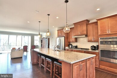 25009 Cambridge Hill Terrace, Chantilly, VA 20152 - photo 4
