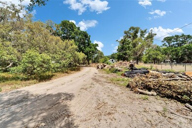 13907 Raulerson Rd unit Parcel C, Riverview, FL 33569 - photo 6