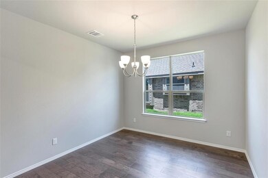 728 Ruellia St, Weatherford, TX 76086 - photo 5