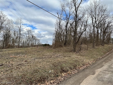 0 Fisher Ridge Rd, Barlow Township, OH 45729 - photo 2