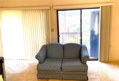 Large den with vaulted ceilings and great natural light. Balcony from sliding glass doors and storage room.