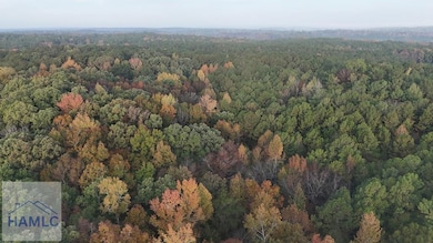 0 Dennis Creek Rd unit 158993, Talbotton, GA 31827 - photo 6