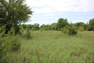 0000 W 1300 Rd, Dewey, OK 74029 - photo 6