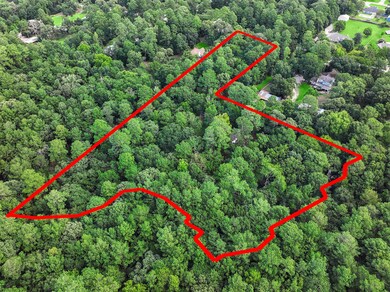 22909 Baneberry Rd, Magnolia, TX 77355 - photo 3