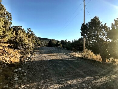 233 Lake of the Falls Pkwy, Mosca, CO 81146 - photo 5