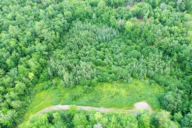 Summer Aerials